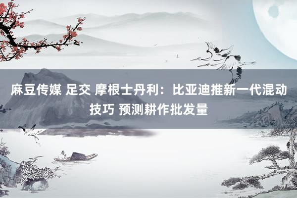 麻豆传媒 足交 摩根士丹利：比亚迪推新一代混动技巧 预测耕作批发量
