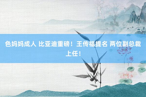 色妈妈成人 比亚迪重磅！王传福提名 两位副总裁上任！