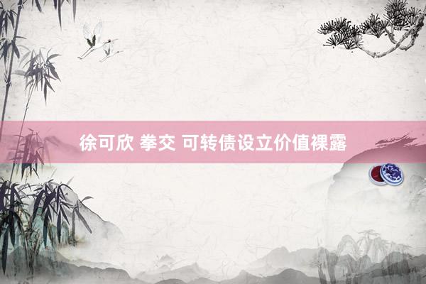 徐可欣 拳交 可转债设立价值裸露