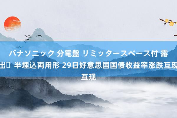 パナソニック 分電盤 リミッタースペース付 露出・半埋込両用形 29日好意思国国债收益率涨跌互现