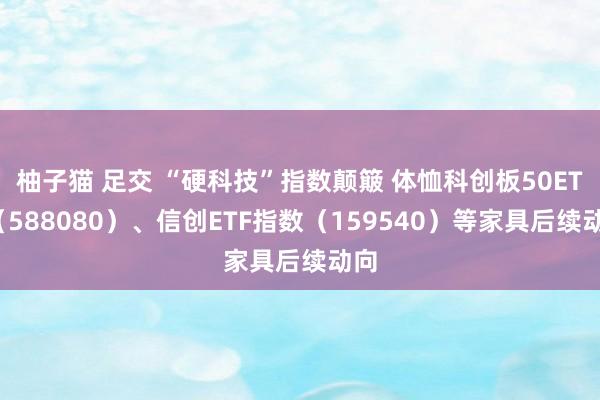 柚子猫 足交 “硬科技”指数颠簸 体恤科创板50ETF（588080）、信创ETF指数（159540）等家具后续动向
