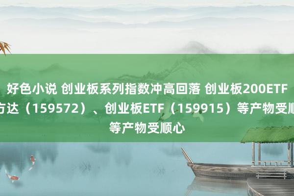 好色小说 创业板系列指数冲高回落 创业板200ETF易方达（159572）、创业板ETF（159915）等产物受顺心