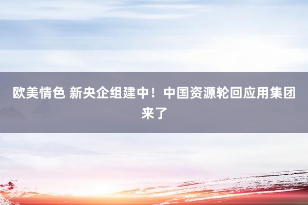 欧美情色 新央企组建中！中国资源轮回应用集团来了