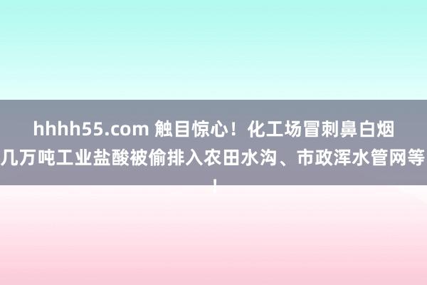 hhhh55.com 触目惊心！化工场冒刺鼻白烟 几万吨工业盐酸被偷排入农田水沟、市政浑水管网等！