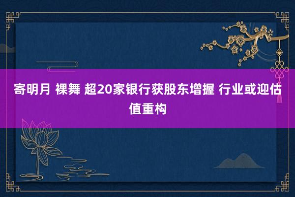 寄明月 裸舞 超20家银行获股东增握 行业或迎估值重构