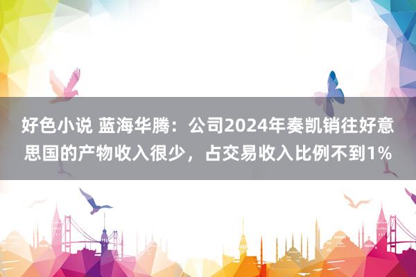 好色小说 蓝海华腾：公司2024年奏凯销往好意思国的产物收入很少，占交易收入比例不到1%